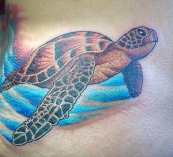 Looking for unique  Tattoos? Turtle!