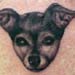 tattoo galleries/ - Dog portrait tattoo