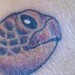 tattoo galleries/ - Turtle!
