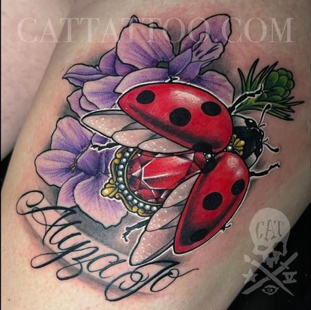 Nature Animal Ladybug - Ladybug 