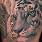 Black and Grey Animal Habitats Tattoo Detail Tattoo Design Thumbnail
