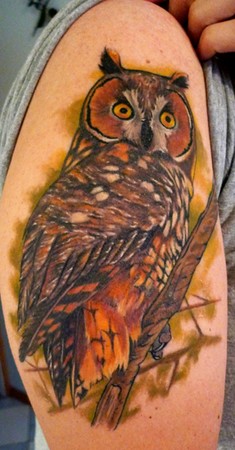 Julio Rodriguez - owl