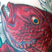 Tattoos -  - 44275