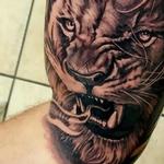Lion tattoo portrait Tattoo Design Thumbnail