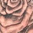 Black and grey roses Tattoo Design Thumbnail