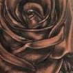 Black and grey roses Tattoo Design Thumbnail
