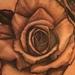 Black and Gray Roses Tattoo Design Thumbnail
