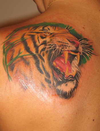 Placement Arm Comments This is a tiger tattoo by Alex De Pase