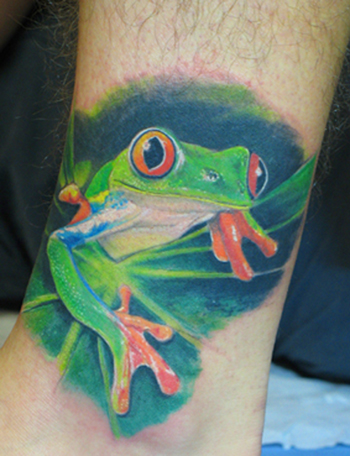 frogs tattoos. Red+eye+tree+frog+tattoos