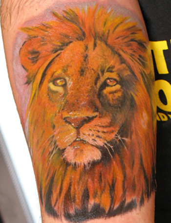 Comments This is a lion tattoo by Alex De Pase