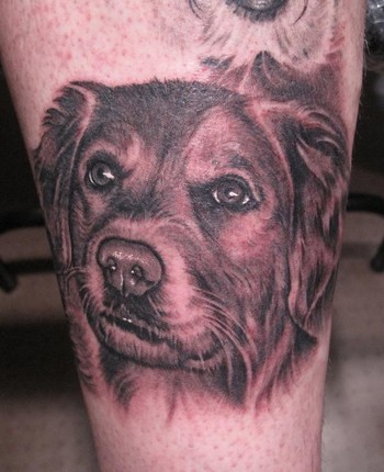 Bob Tyrrell - Dog portrait tattoo