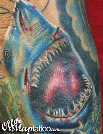 Nick Trammel Shark Nick Trammel Shark Large Image Leave Comment