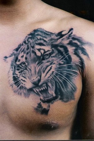 Looking for unique Carlos Torres Tattoos Tiger Tattoo