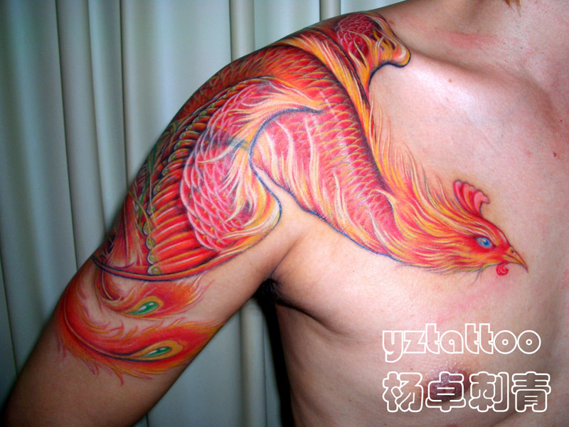 phenix tattoo. phenix tattoo. Color Pheonix Tattoo; Color Pheonix Tattoo