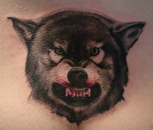 Christopher Allen - Growling wolf tattoo