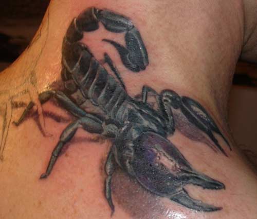 Scorpion tattoos are a recent emergence in the area of tattoo decorative art