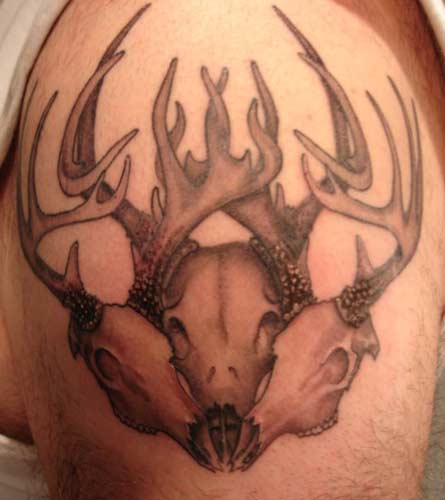 Christopher Allen - Deer Skull and antlers Tattoo