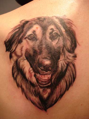 Chris Pchelka Realistic dog portrait tattoo