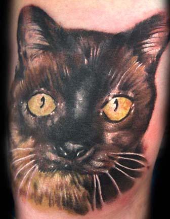 realistic tattoo. Cory Norris - Cat Tattoo