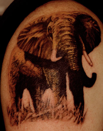 elephant tattoo. Realistic Tattoos. Elephant