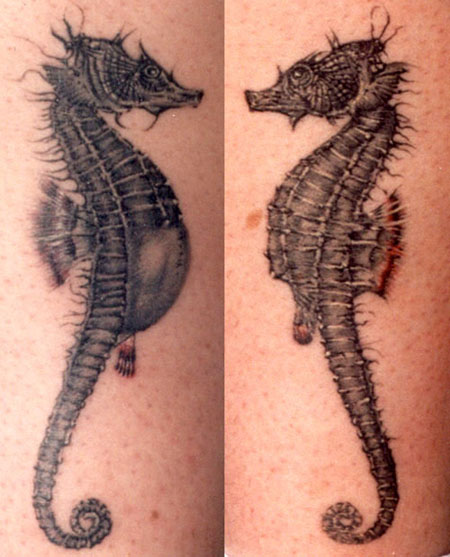 sea horse tattoos. Seahorse Tattoo Designs .