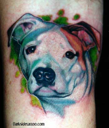 Does This Pit Bull Tattoo Get Him Ass?
