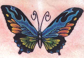 butterfly tattoo johnny
 on Looking for unique Johnny Berrios Tattoos? Butterfly Tattoo