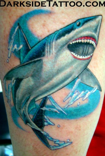 Shark Tattoos and Tattoo Designs. Thursday 15th of January 2009 08:46:20 PM