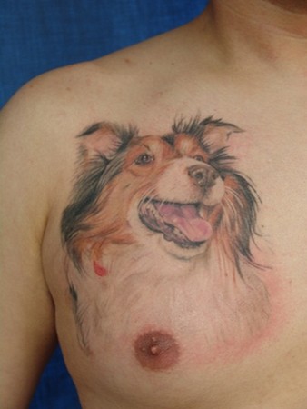 Tattoos · Blaze Schwaller. Sheltie Dog Portrait