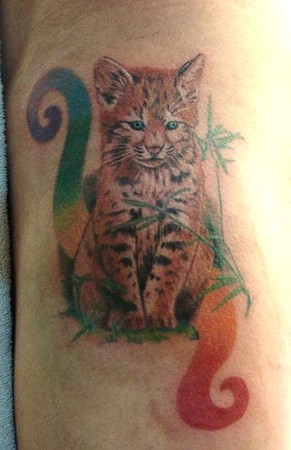 Comments: Colorful baby bobcat tattoo with a rainbow swirl to symbolize the 