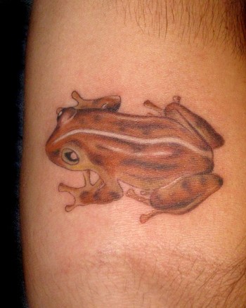 Comments: This frog is found in Puerto Rico. The tattoo is on the client's 
