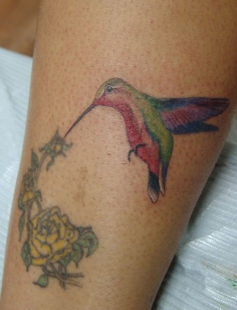 Blaze Schwaller - Hummingbird tattoo