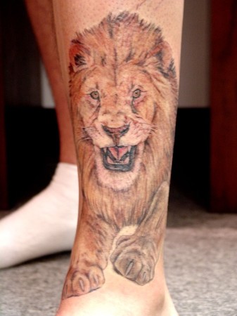Blaze Schwaller - Realistic color lion tattoo