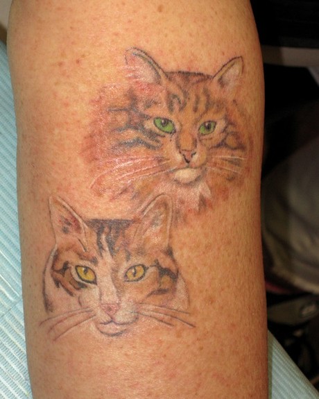 Stacey Blanchard - Cat Memorial Tattoos