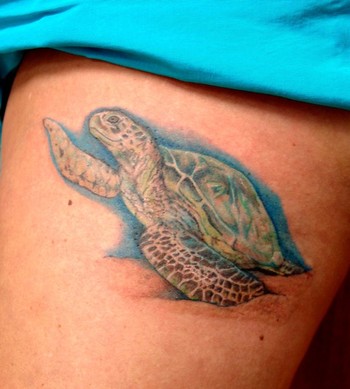 This photo belongs to. sweetmccord's photostream (15) · New Comments: This realistic sea turtle tattoo is about 5" 