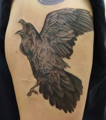 Comments: This raven tattoo is on my friend Liz's upper arm, just below the 