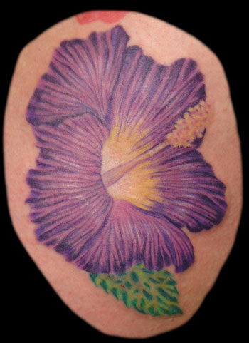 Purple hibiscus flower an addition to the hibiscus tattoo