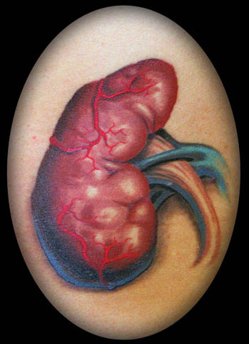Looking for unique Realistic tattoos Tattoos Kidney