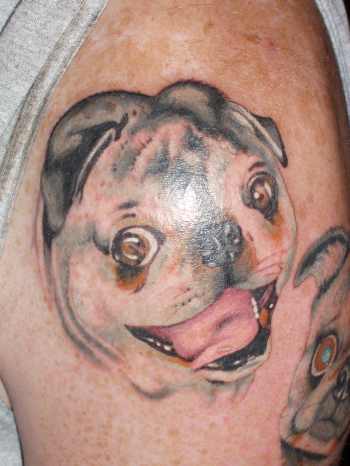pug tattoo. Color tattoos Tattoos? Pug