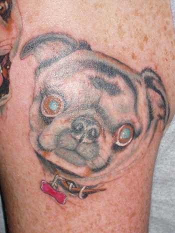 pug tattoo. Tattoos? Pug portrait 2