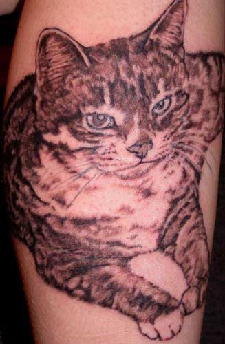 Cat tattoo is popular animal tattoo. There are many types of cat tattoos and