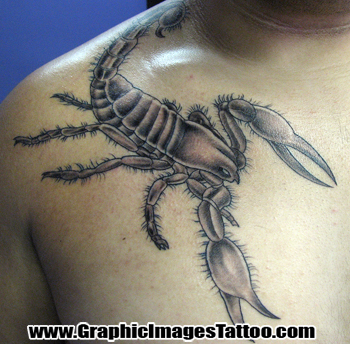 Animal Scorpion Tattoos
