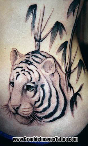 Keyword Galleries Black and Gray Tattoos Nature Animal Tiger Tattoos