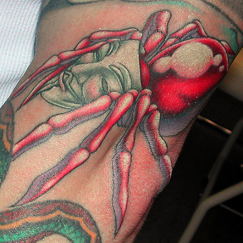 Sean Ohara Spider Tattoos