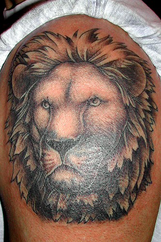 Sean Ohara - Lion Cover up. Tattoos. Black and Gray Tattoos. Lion Cover up