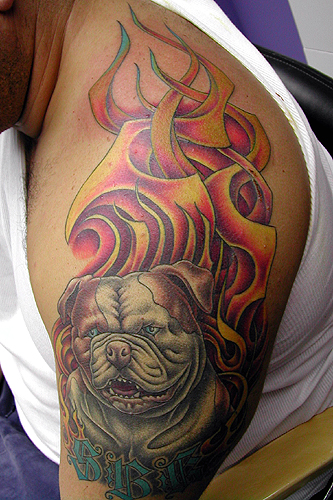 Sean Ohara Flames added on to Bulldog portrait Tattoos Custom Tattoos