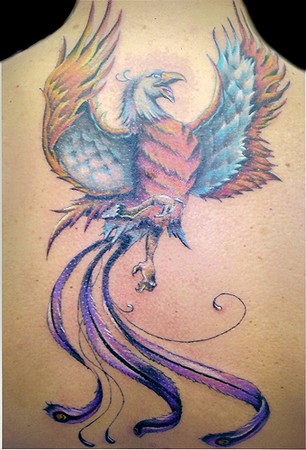 Color Tattoos. Phoenix. Now viewing image 47 of 255 previous next