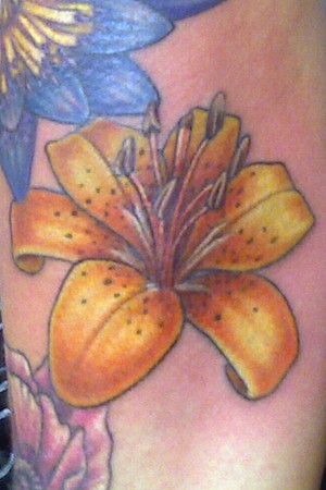Color Tattoos Tiger Lily
