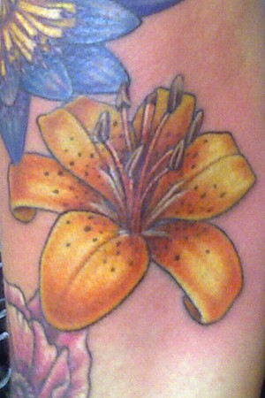 Tattoos Color Tattoos Tiger Lily Now viewing image 12 of 252 previous 