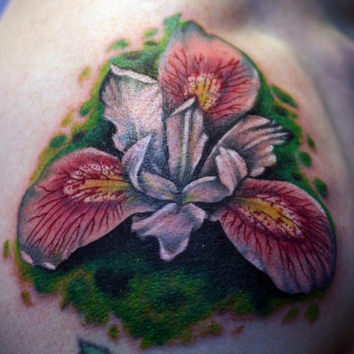 Bug Tattoos Color iris tattoo